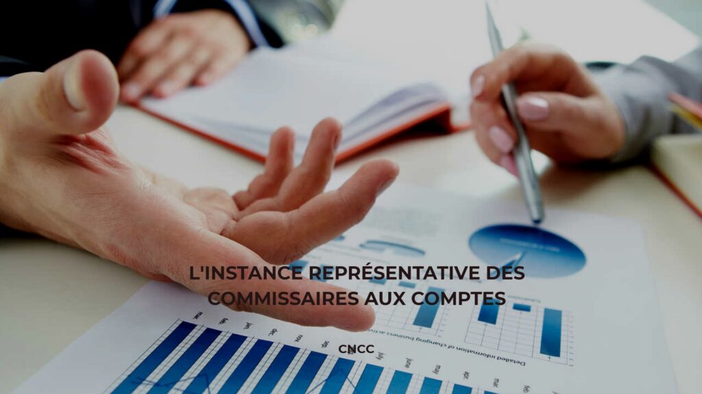 commissaires au comptes